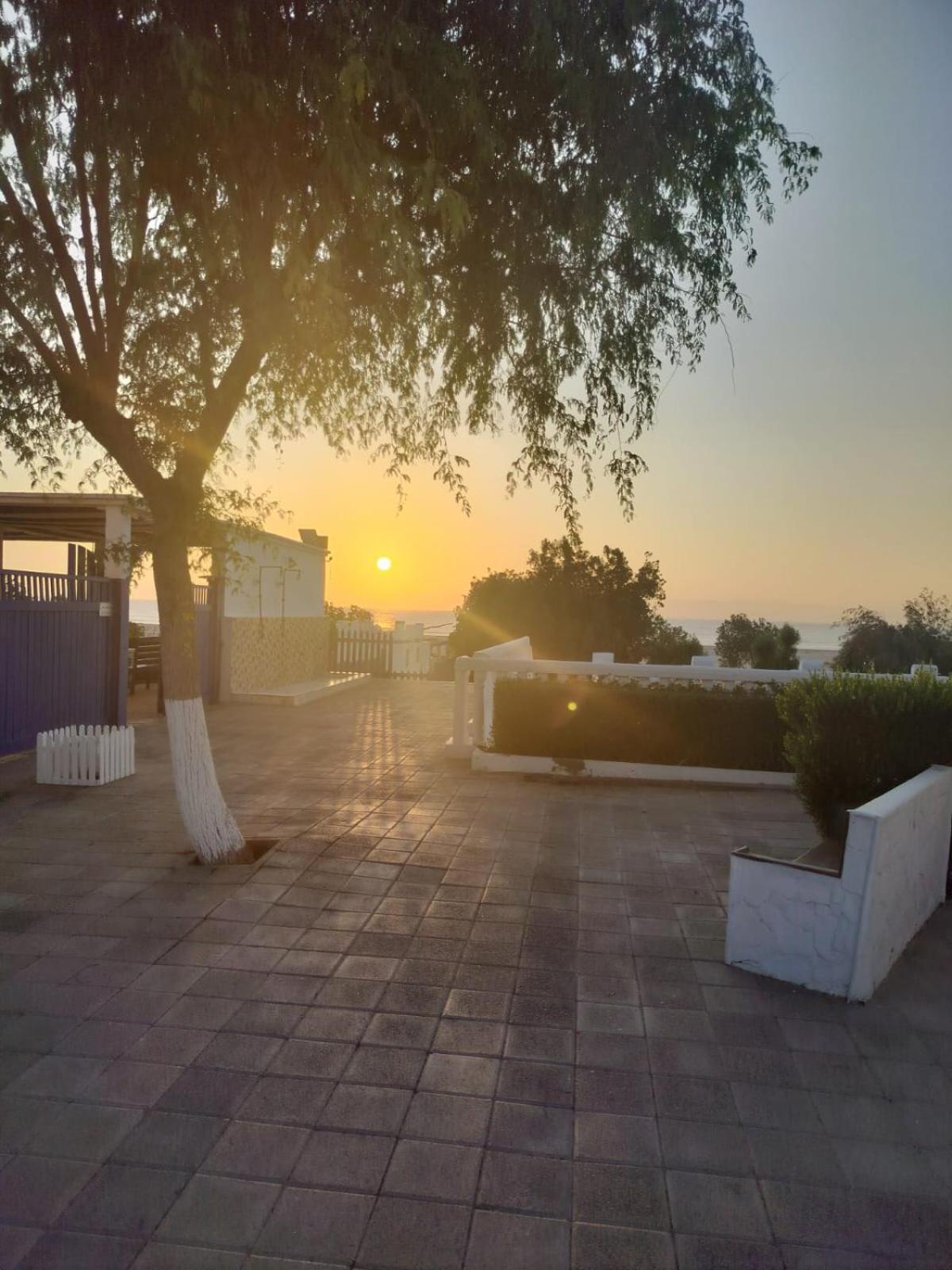 Al-Ashkhara Beach Resort منتجع شاطئ الأشخرة الشرقية المظهر الخارجي الصورة