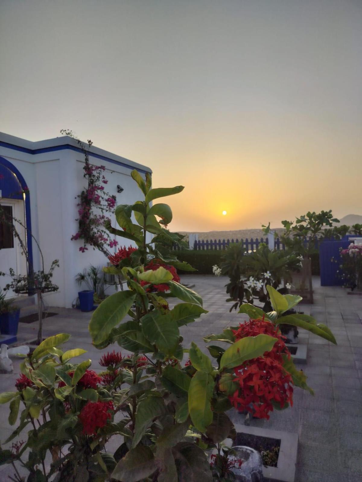 Al-Ashkhara Beach Resort منتجع شاطئ الأشخرة الشرقية المظهر الخارجي الصورة